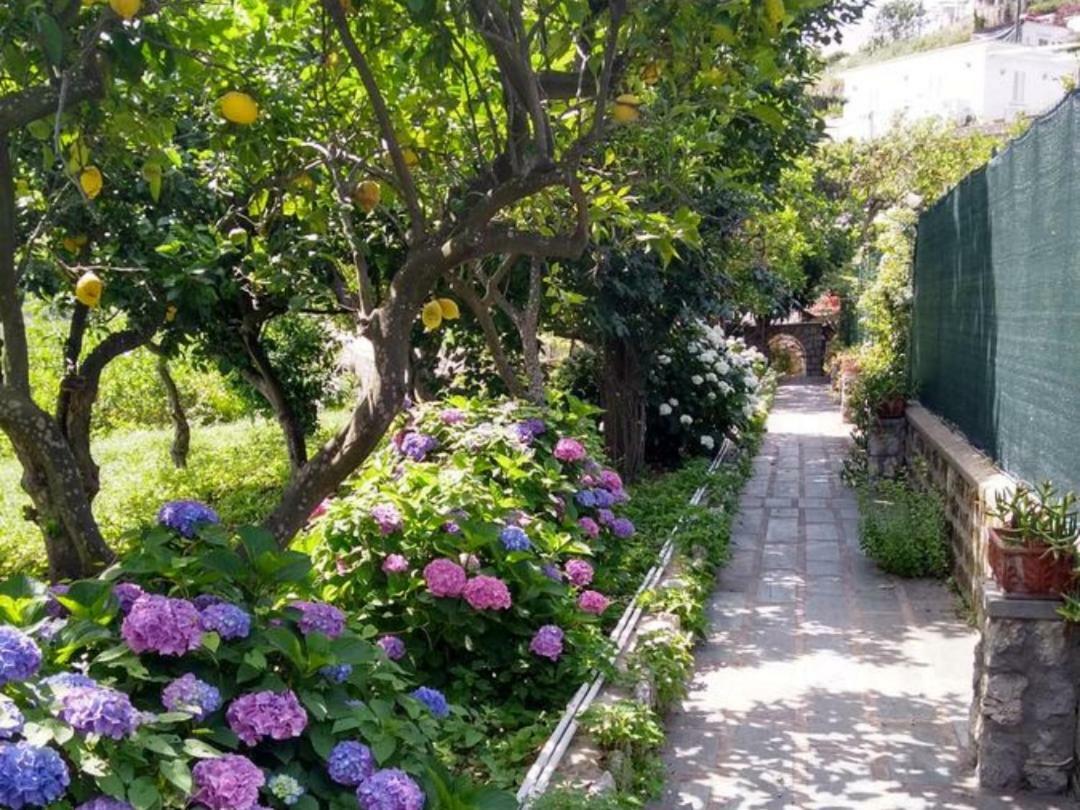 Casa Paolina - Casa Vacanze كابري المظهر الخارجي الصورة